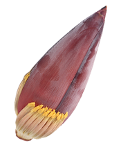 Banana Flower