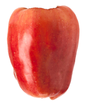 Cashew Fruit