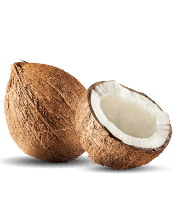 Coconut