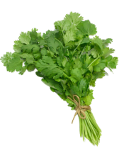 Coriander Leaves