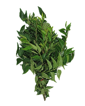 Curry Leaves