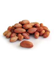 Groundnut