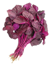 Red Spinach