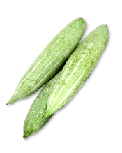 Snake Gourd