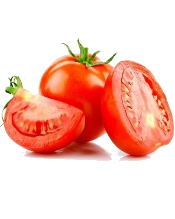 Tomato